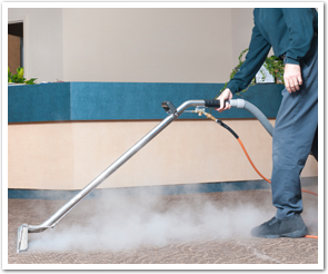 Steam Cleaning Carpets